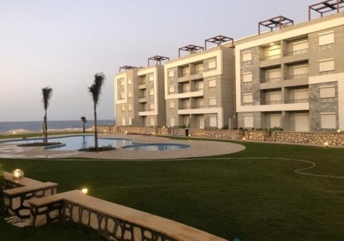 WhatsApp Image 2024-07-29 at 1.34.32 PM (1)