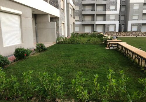 WhatsApp Image 2024-07-29 at 1.34.33 PM (2)