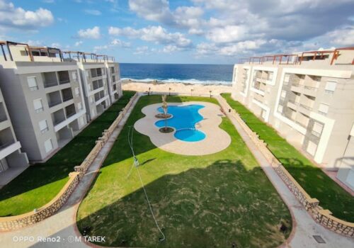 WhatsApp Image 2024-07-29 at 1.34.33 PM (5)