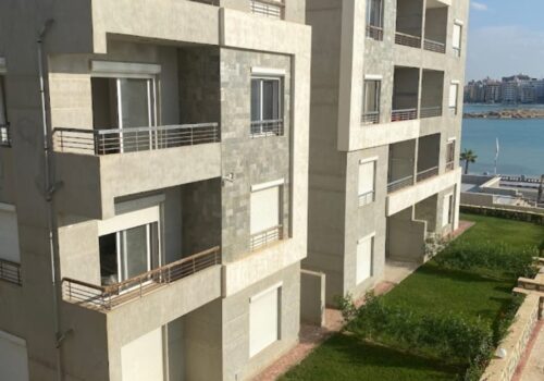 WhatsApp Image 2024-07-29 at 1.34.34 PM (2)