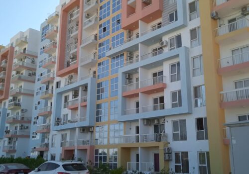 WhatsApp Image 2024-07-29 at 1.34.55 PM (1)