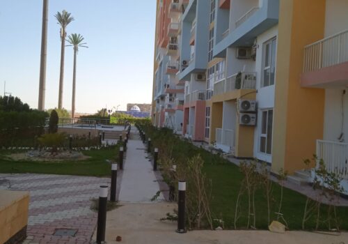 WhatsApp Image 2024-07-29 at 1.34.55 PM (2)