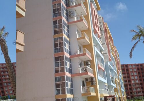 WhatsApp Image 2024-07-29 at 1.34.55 PM (3)