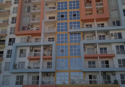 WhatsApp Image 2024-07-29 at 1.34.56 PM (1)