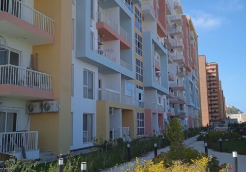 WhatsApp Image 2024-07-29 at 1.34.56 PM (3)