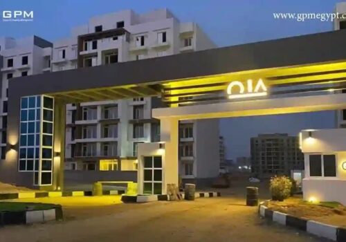 WhatsApp Image 2024-07-29 at 1.35.56 PM